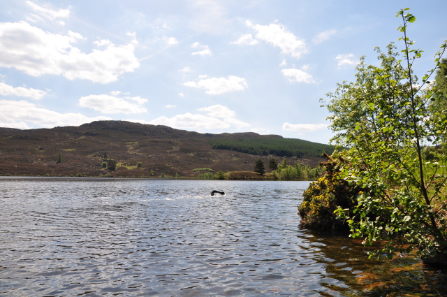 Diapositive 3_DSC_0280.JPG 