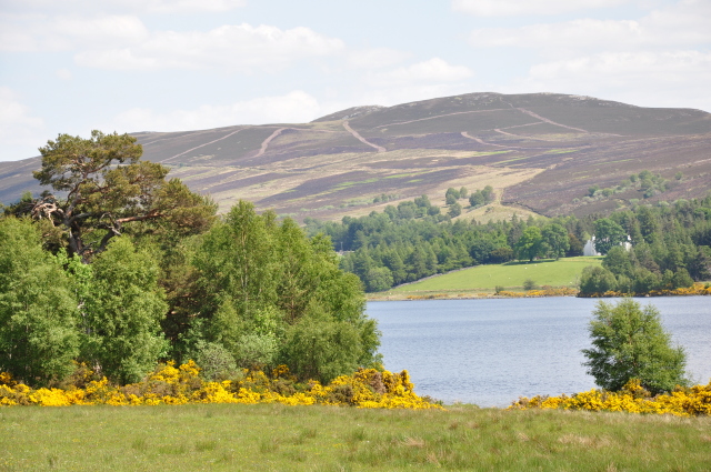 Diapositive 3_DSC_0282.JPG 