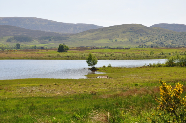 Diapositive 3_DSC_0285.JPG 