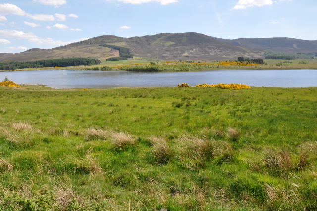 Diapositive 3_DSC_0288.JPG 