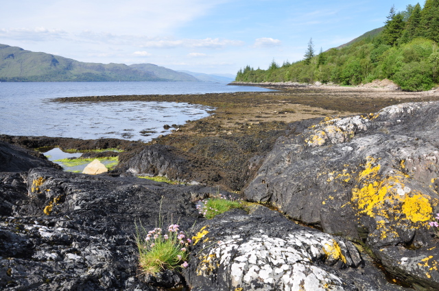 Diapositive 3_DSC_0365.JPG 