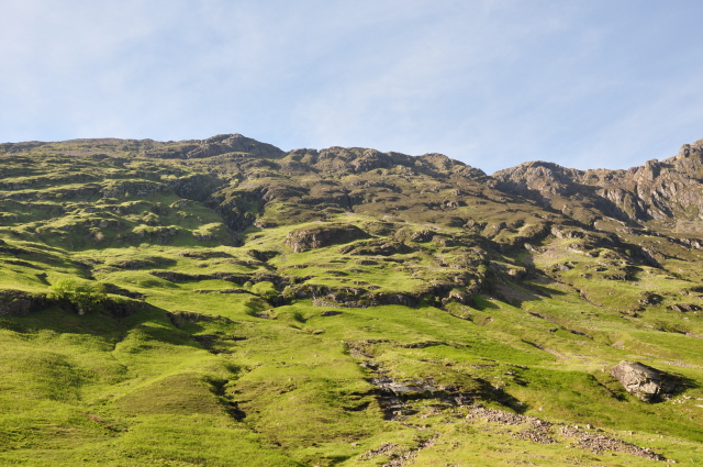 Diapositive 3_DSC_0387.JPG 