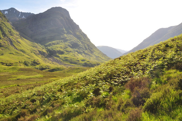 Diapositive 3_DSC_0406.JPG 