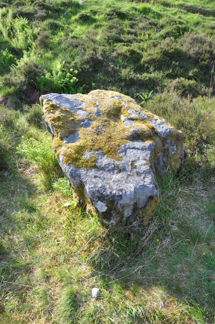 Diapositive 3_DSC_0425.JPG 