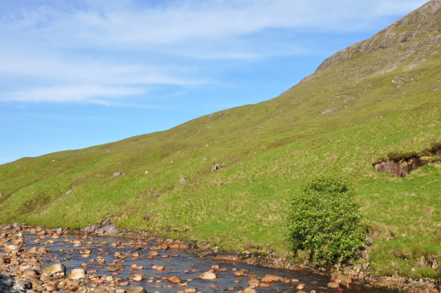 Diapositive 3_DSC_0434.JPG 