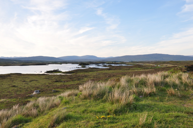 Diapositive 3_DSC_0501.JPG 