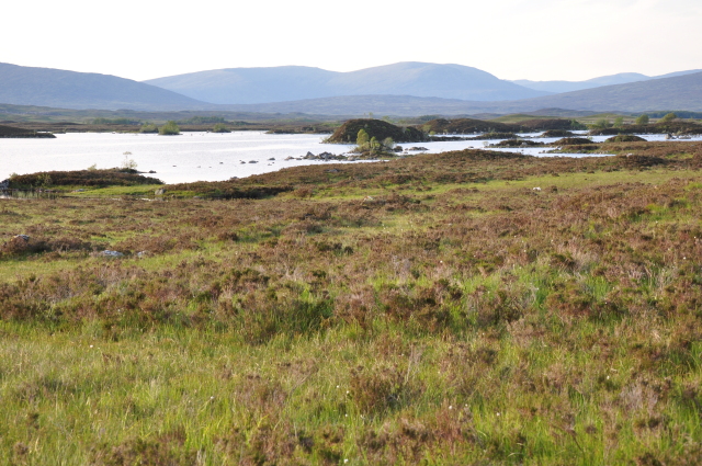 Diapositive 3_DSC_0507.JPG 