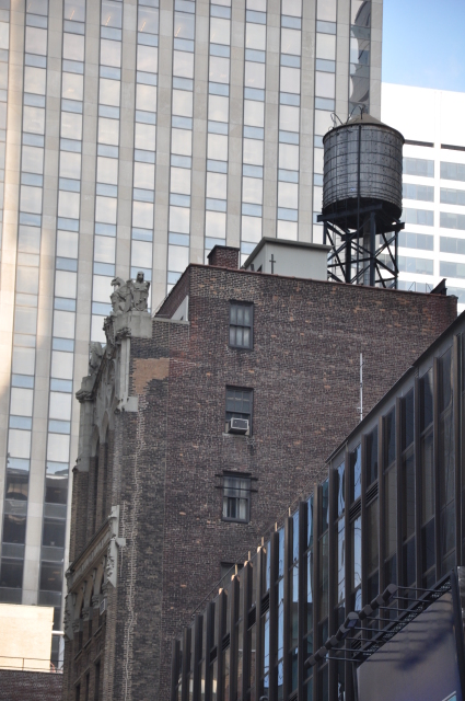 Diapositive 4_DSC_0040.JPG 