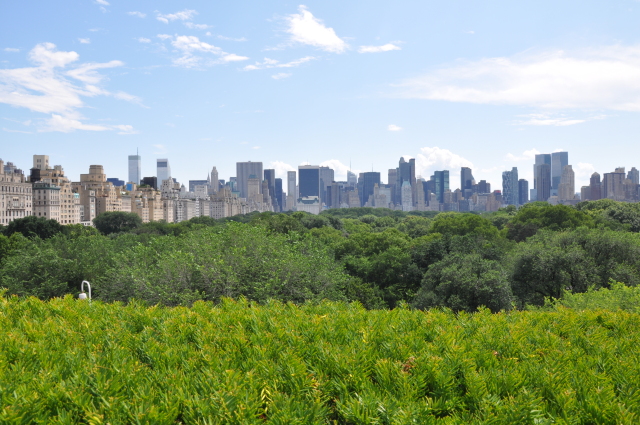 Diapositive 4_DSC_0258.JPG 