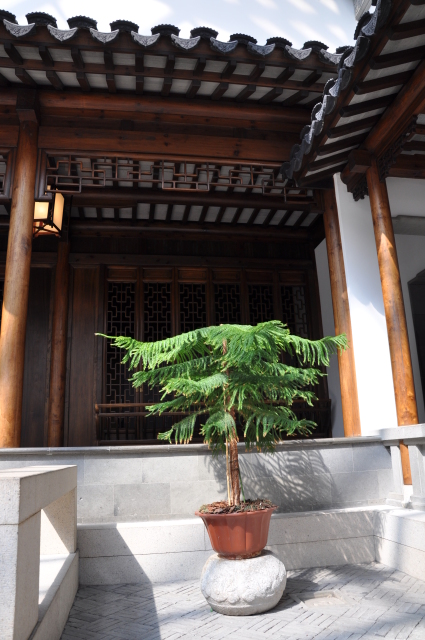 Diapositive 4_DSC_0270.JPG 