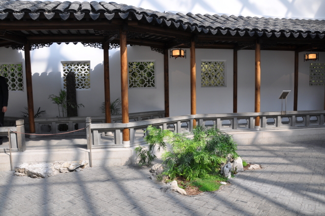 Diapositive 4_DSC_0271.JPG 