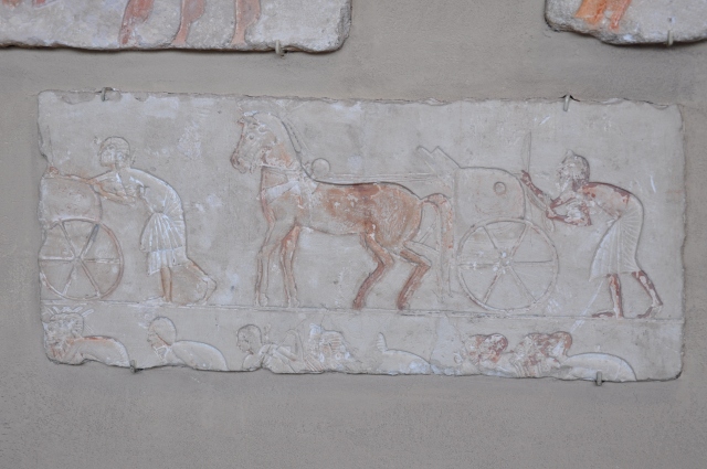 Diapositive 4_DSC_0291.JPG 