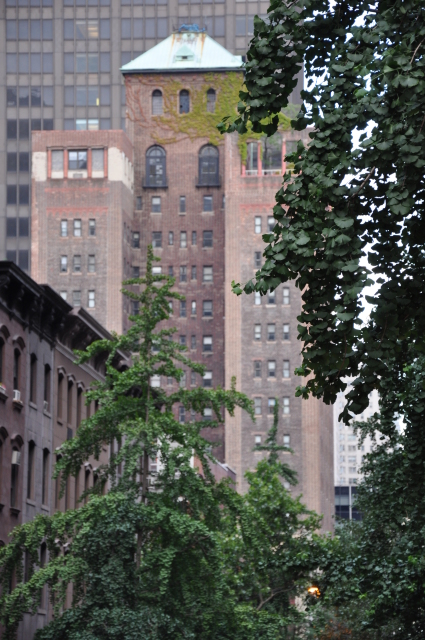 Diapositive 4_DSC_0348.JPG 