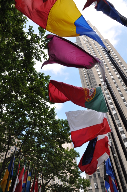 Diapositive 4_DSC_0400.JPG 