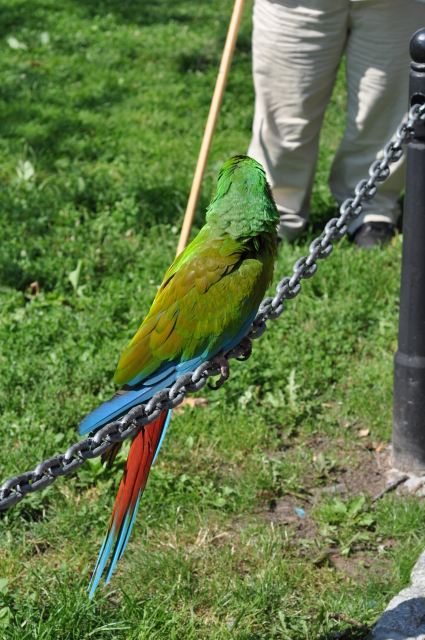 Diapositive 4_DSC_0481.JPG 