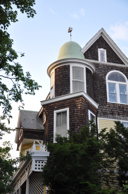 Diapositive 4_DSC_0541.JPG 