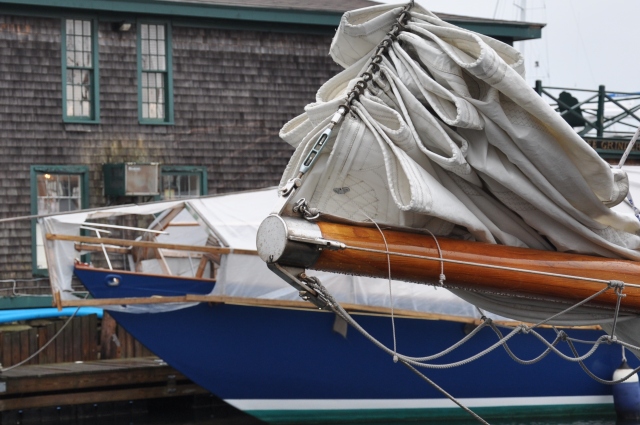 Diapositive 4_DSC_0570.JPG 